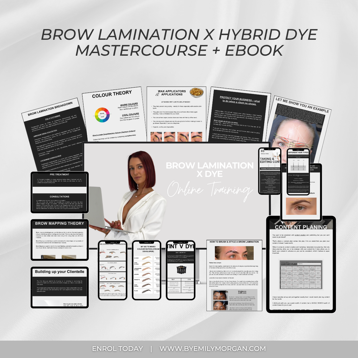 Brow Lamination X Hybrid Dye Course
